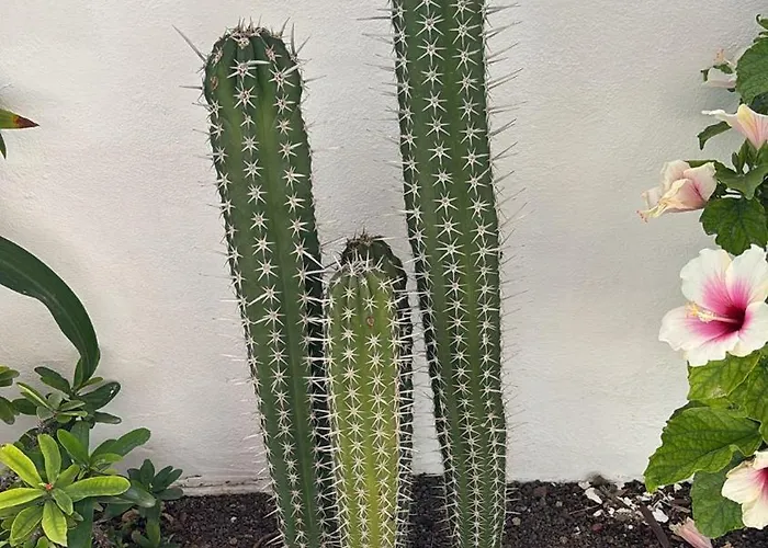 Front House 'casa Neen' *