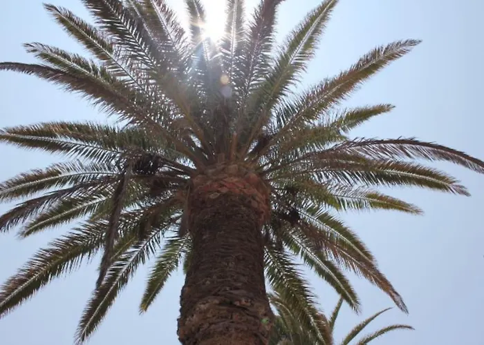 Front House 'casa Neen' Feriehus